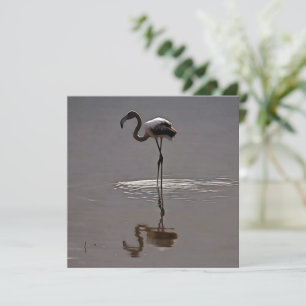 Tarjeta Festiva Flamingo Juvenil En Gris Con Reflexión