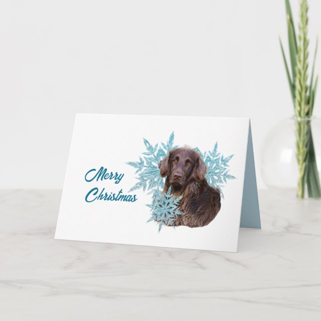 Tarjeta Festiva Flat Coat Retriever en copos de nieve  (Anverso)