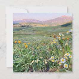 Tarjeta Festiva Flat Holiday Card