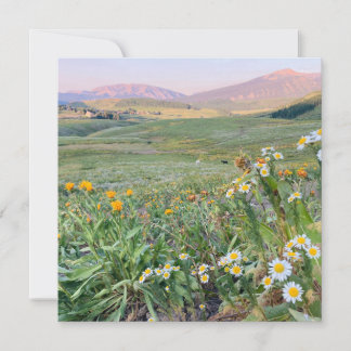 Tarjeta Festiva Flat Holiday Card