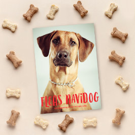 Tarjeta Festiva Fleas Navidog Cute Gracioso Perro | Foto de vacaci