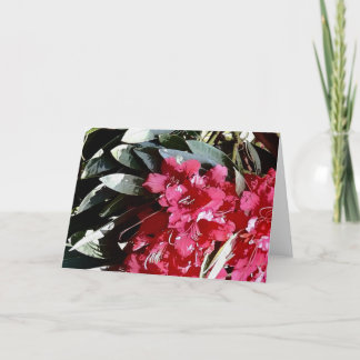 Tarjeta Festiva flor azalea en rojo