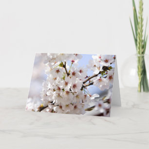 Tarjeta Festiva Flor de árbol blanco en primavera
