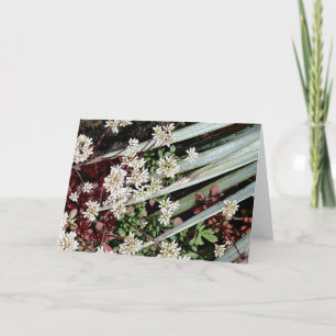 Tarjeta Festiva flor de cactus blanco y hoja