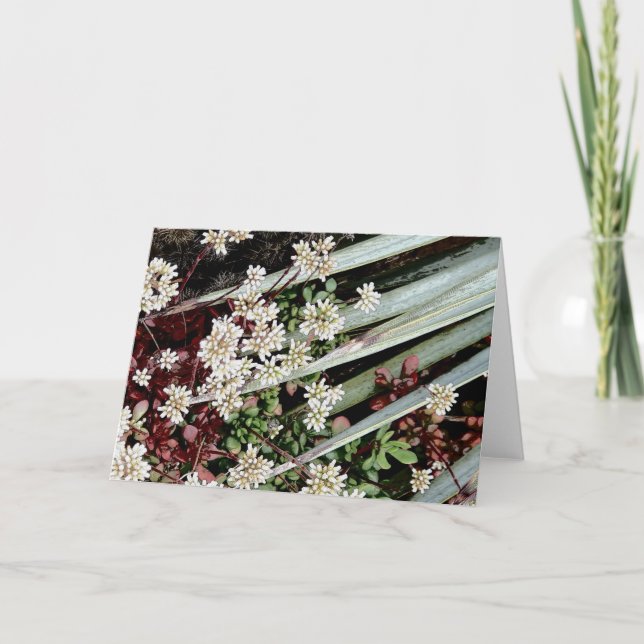 Tarjeta Festiva flor de cactus blanco y hoja (Anverso)