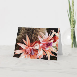 Tarjeta Festiva flor de cactus brillante