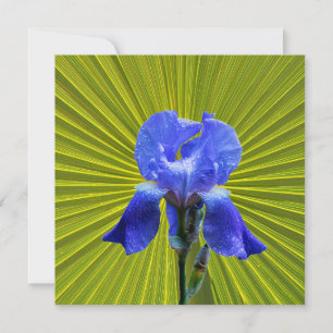 Tarjeta Festiva Flor de iris