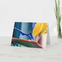 Tarjeta Festiva Flor de la ave del paraíso