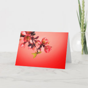 Tarjeta Festiva Flor de la primavera sobre fondo rojo