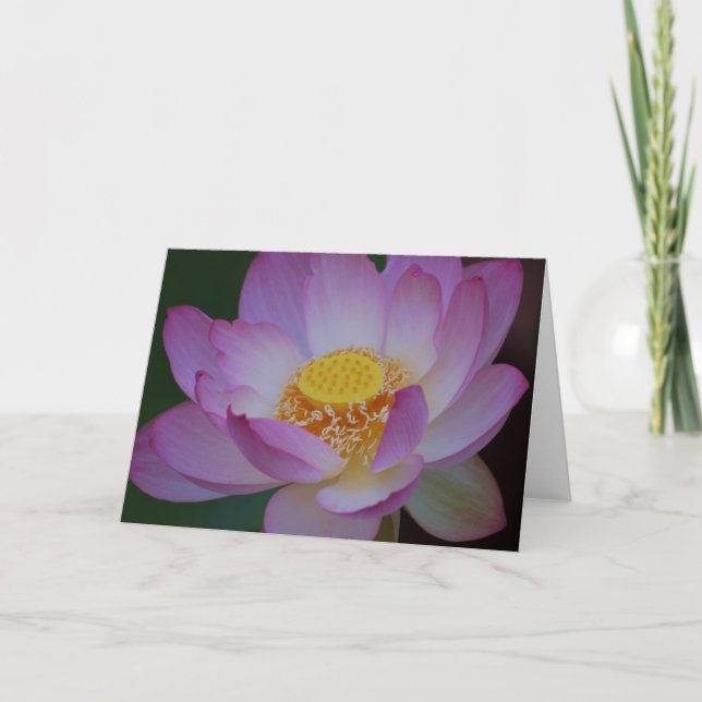 Tarjeta Festiva Flor de Lotus y su significado (Anverso)