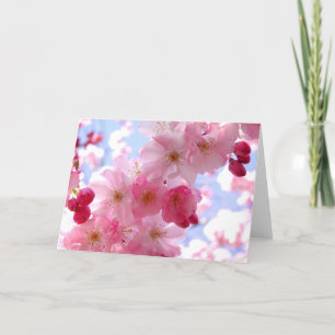 Tarjeta Festiva Flor de primavera rosada