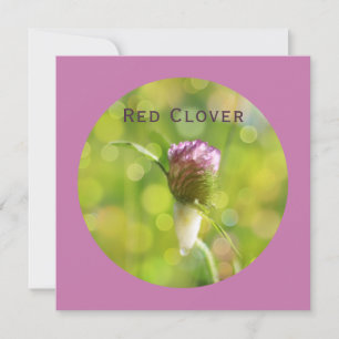 Tarjeta Festiva Flor de trébol rojo en magenta