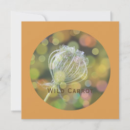 Tarjeta Festiva Flor de zanahoria salvaje con Bokeh sobre Naranja 