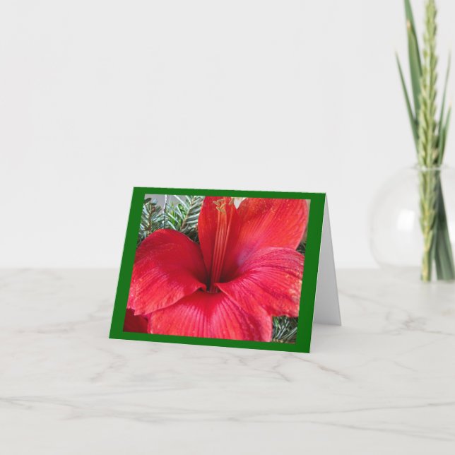 Tarjeta Festiva Flor del Amaryllis (Anverso)