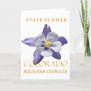 Tarjeta Festiva Flor del Territorio de Colorado Azul Aquilegia coe