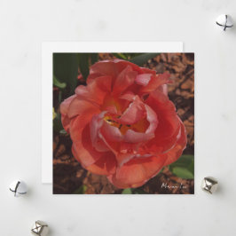 Tarjeta Festiva flor roja
