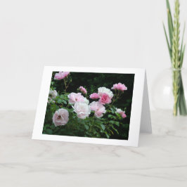 Tarjeta Festiva flor rosa bonito y blanco. Floral,