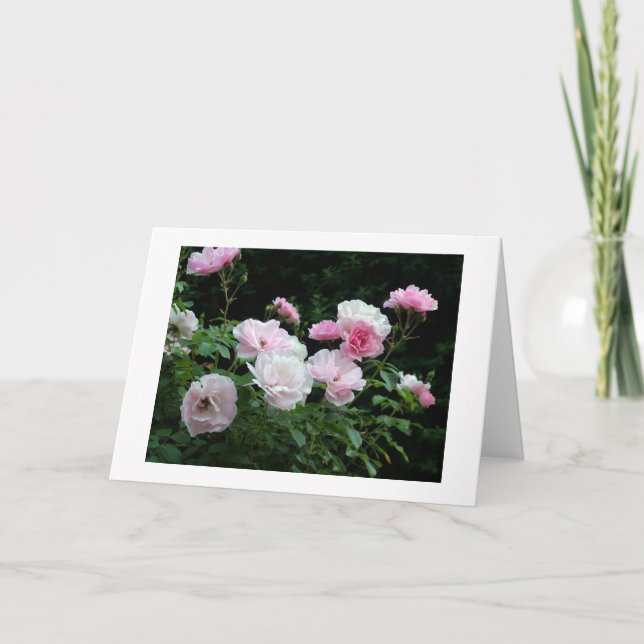 Tarjeta Festiva flor rosa bonito y blanco. Floral, (Anverso)