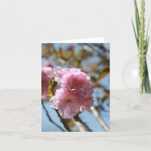 Tarjeta Festiva Flor Rosa Florece