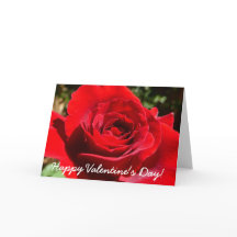 Flor rosa roja brillante hermosa flor