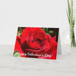 Tarjeta Festiva Flor rosa roja brillante hermosa flor