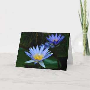 Tarjeta Festiva Flor y significado de Lotus