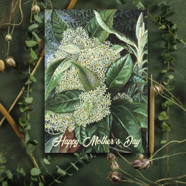 Tarjeta Festiva Floral blanca Día de la Madre (Subido por el creador)