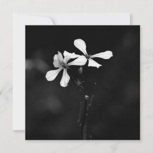 Tarjeta Festiva floral blanca y negra mínima