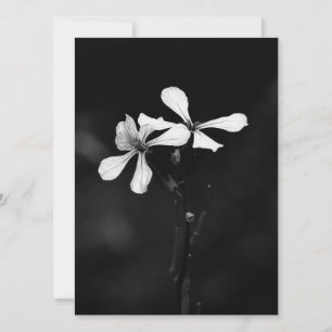 Tarjeta Festiva floral en blanco y negro minimalista