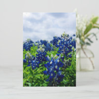 Flores azules de Bluebonnets Texas Texan Floral