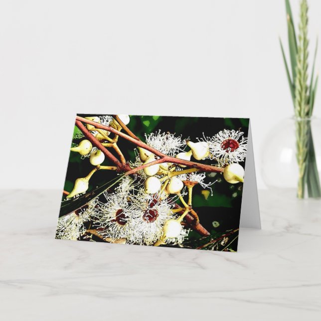 Tarjeta Festiva flores blancas de eucalipto (Anverso)