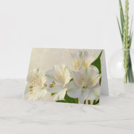 Tarjeta Festiva Flores de alstomería blanca