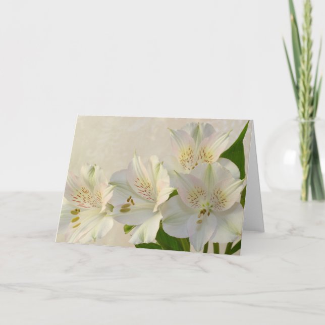 Tarjeta Festiva Flores de alstomería blanca (Anverso)