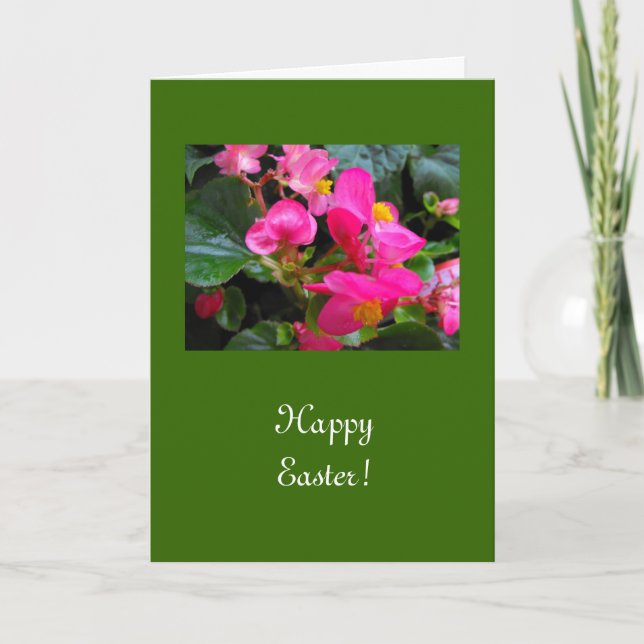 Tarjeta Festiva Flores de begonia rosa de Pascua (Anverso)
