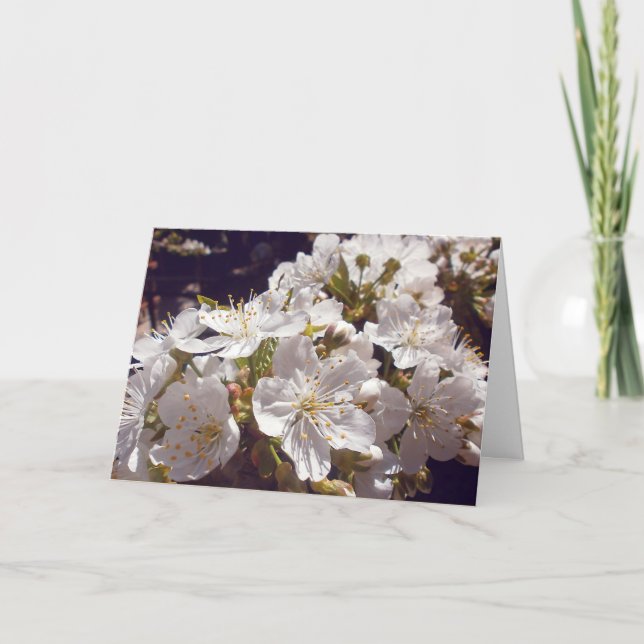 Tarjeta Festiva Flores de cerezo. Semana Santa. (Anverso)