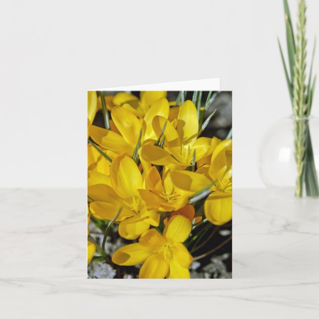 Tarjeta Festiva Flores de croco amarillas (Anverso)