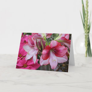 Tarjeta Festiva Flores de feriado rojo de Amaryllis y Poinsettia