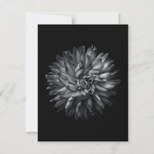 Tarjeta Festiva Flores De Patio Trasero En Blanco Y Negro 20