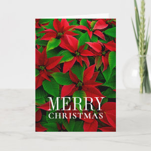 Tarjeta Festiva Flores de Poinsettia Roja