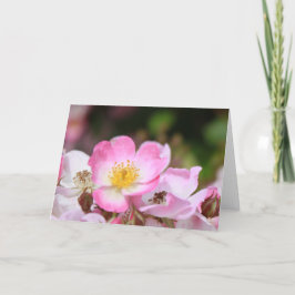 Tarjeta Festiva flores de rosa silvestre rosado para las mujeres