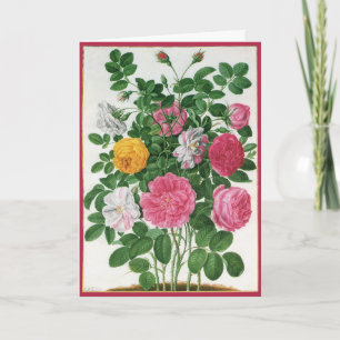 Tarjeta Festiva Flores florecientes vintage, Rosas de Jardín de Pr