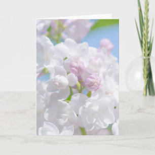 Tarjeta Festiva Flores Lilac