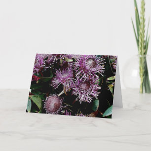 Tarjeta Festiva flores nativas púrpura