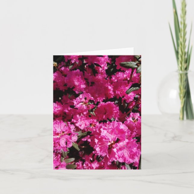 Tarjeta Festiva Flores rosadas de crepé en el jardín (Anverso)