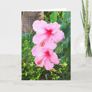 Tarjeta Festiva Flores rosadas de Hibiscus
