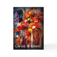 Flores secas - Vívidas fotos de los mercados