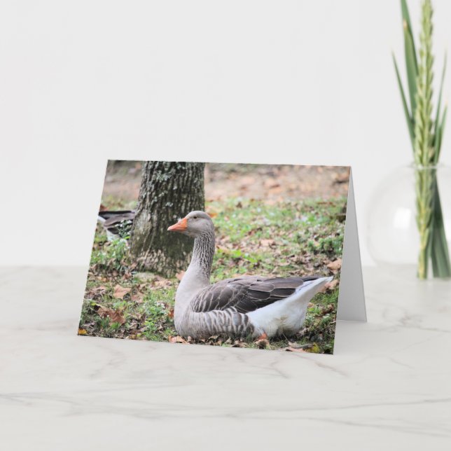 Tarjeta Festiva Fluctuación (Anverso)