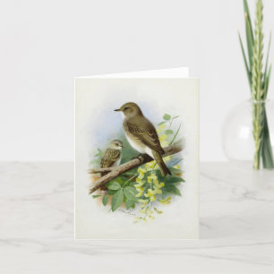 Tarjeta Festiva Flycatchers, Ilustracion de arte