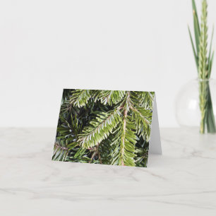 Tarjeta Festiva Fondo del Árbol de Pino Evergreen de vacaciones pa