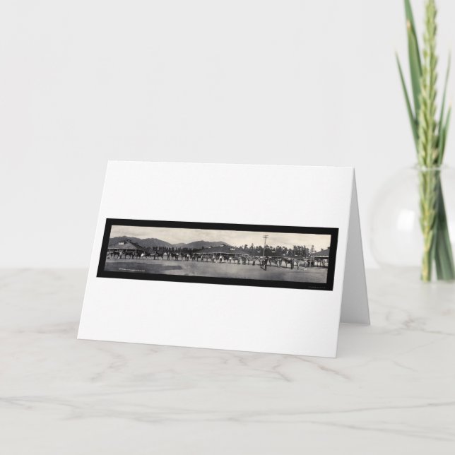 Tarjeta Festiva Foto 1908 de Santa Anita de los caballos (Anverso)